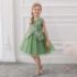 GIRLS NET GAUZE FUFFY PRINCESS DRESS (GREEN)